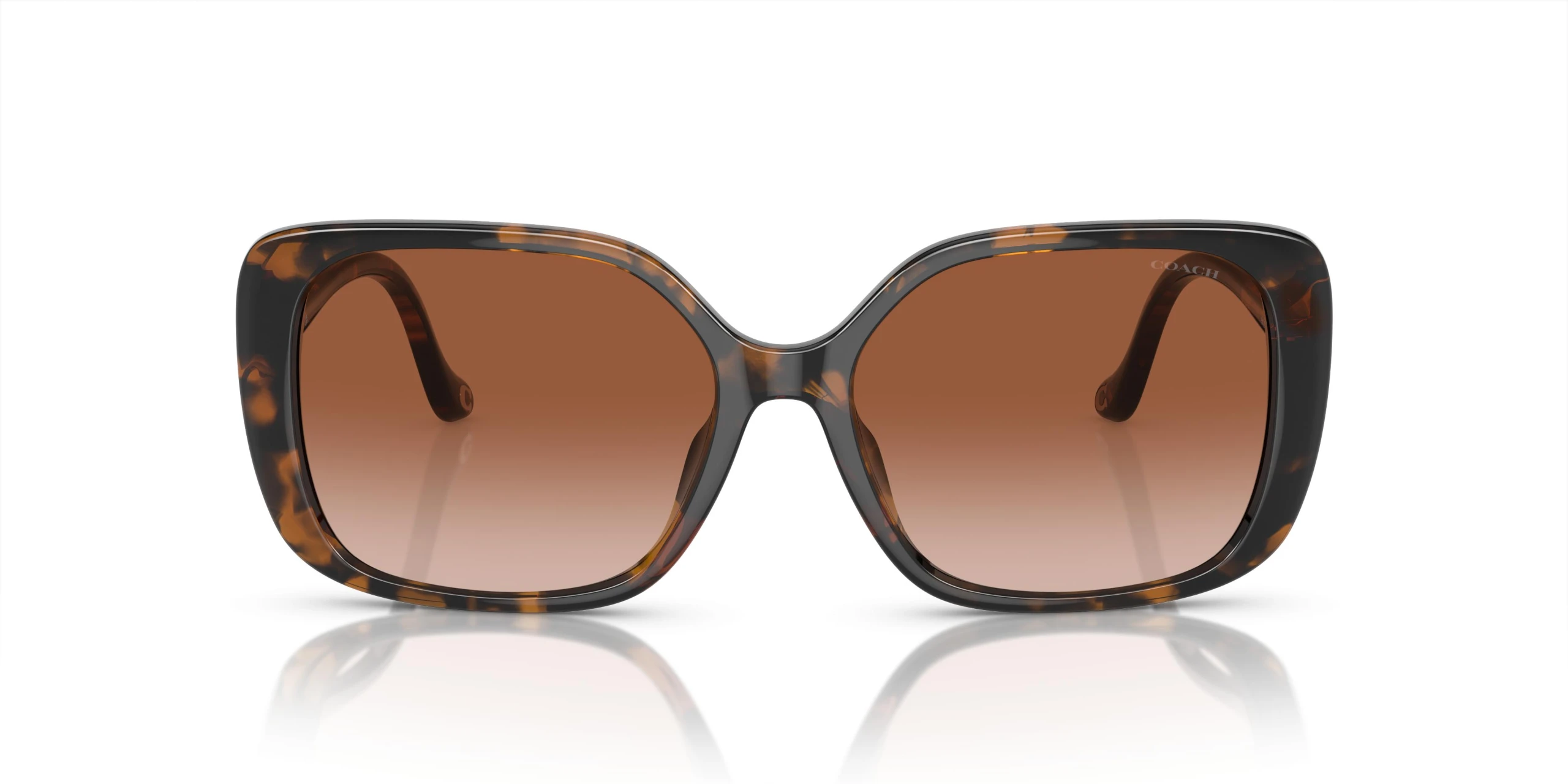 عینک آفتابی کوچ Coach HC8376U