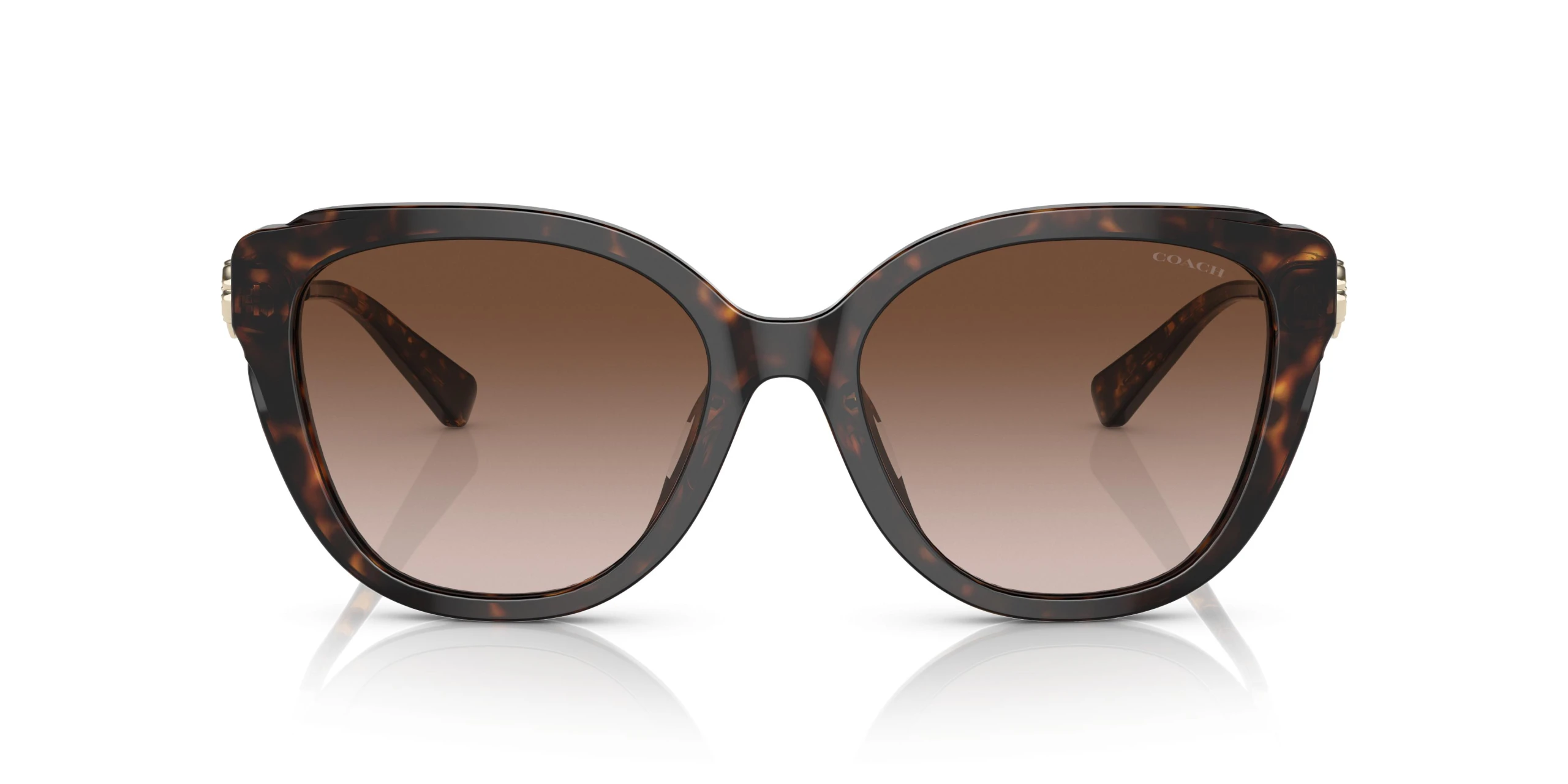 عینک آفتابی کوچ Coach HC8347B