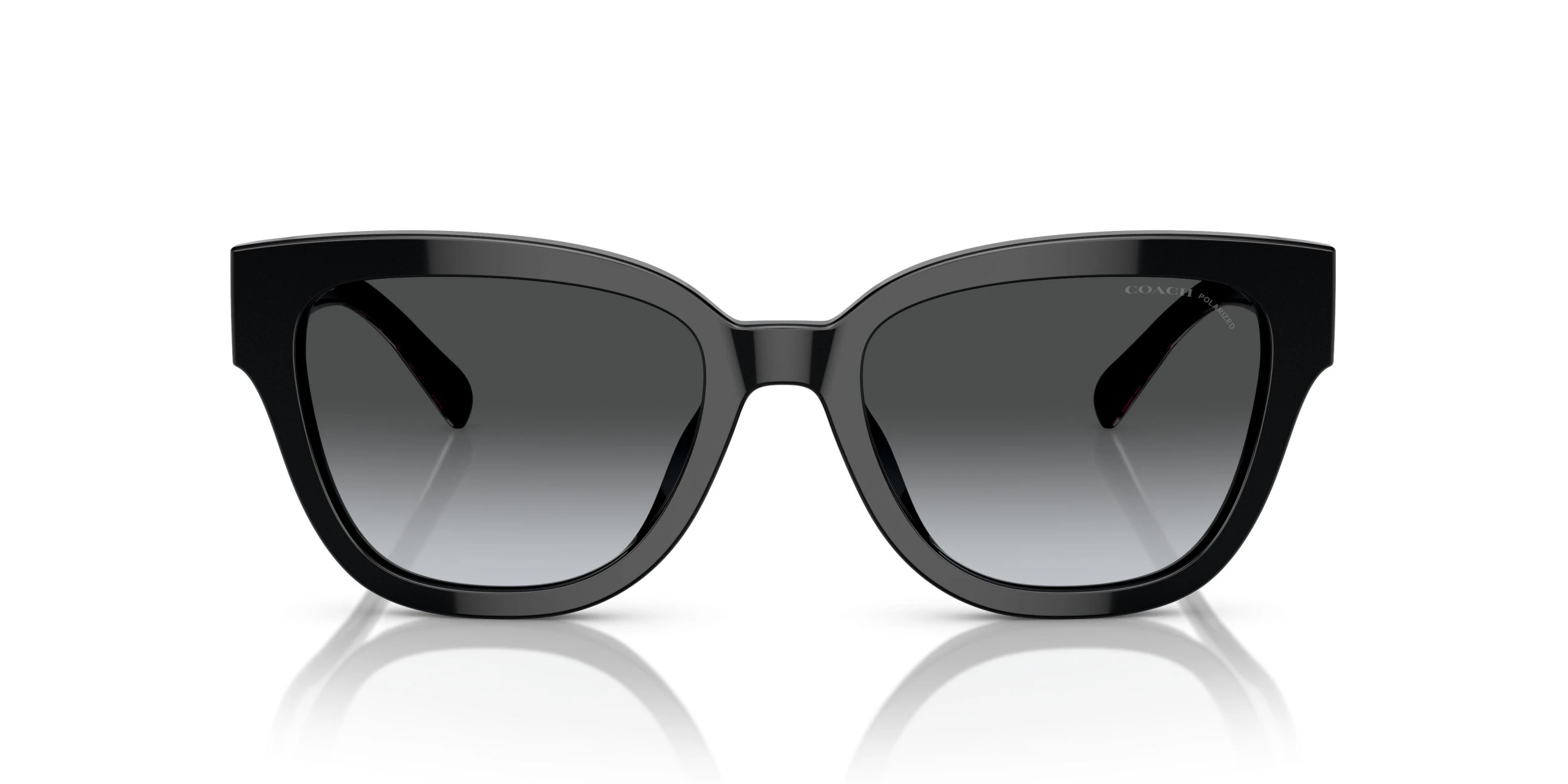 عینک آفتابی کوچ Coach HC8379U